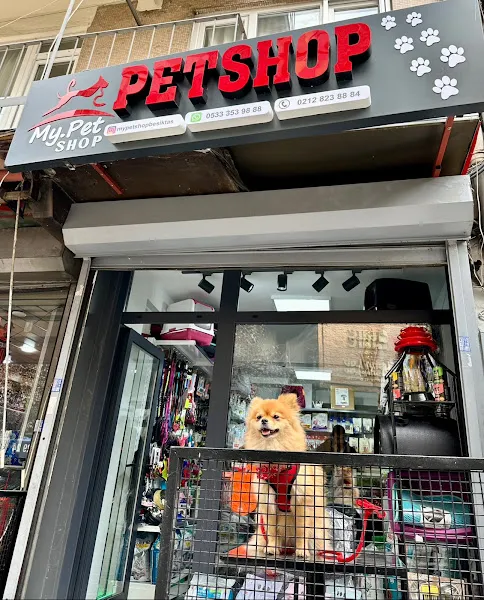 My Petshop Beşiktaş foto 2