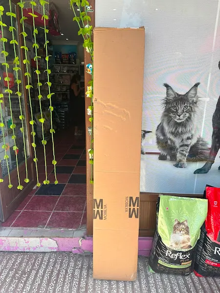 Minik patiler petshop foto 2