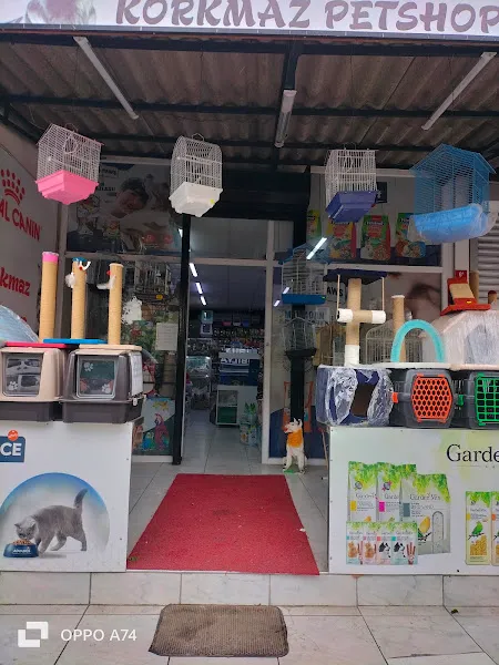 Korkmaz Petshop foto 2