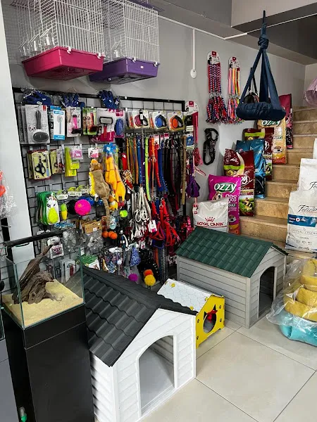 AYZ PETSHOP foto 2