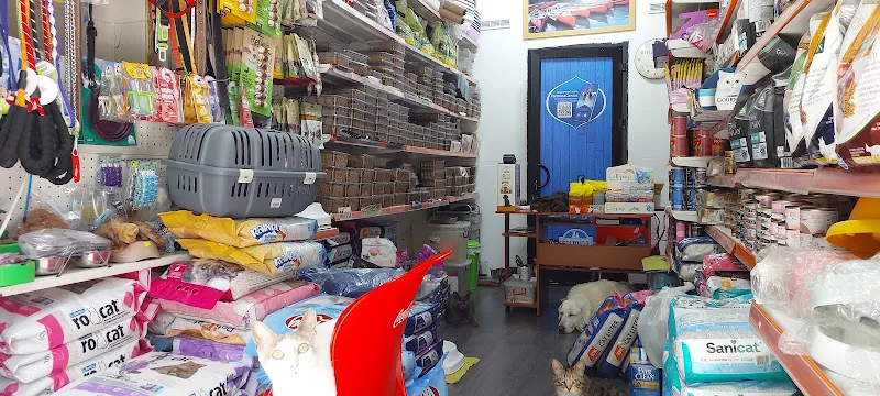 Eylül Pet Shop foto 1