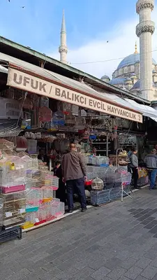 Ufuk/Balıkçı Evcil Hayvancılık fotoğrafı