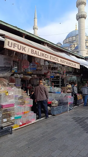 Ufuk/Balıkçı Evcil Hayvancılık foto 1