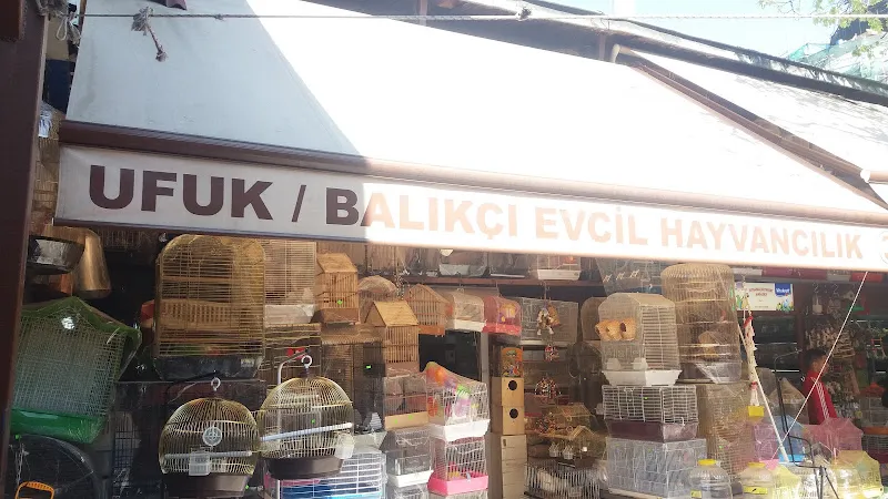 Ufuk/Balıkçı Evcil Hayvancılık foto 2
