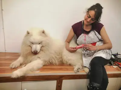 KIRPIK PET KUAFÖR & PET SHOP fotoğrafı