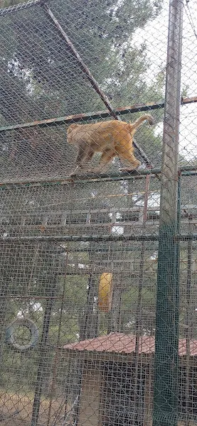 Uşak Hayvanat Bahçesi foto 2