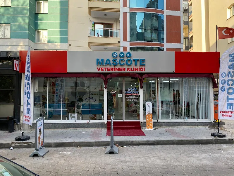 Mascote Veteriner Bornova foto 1