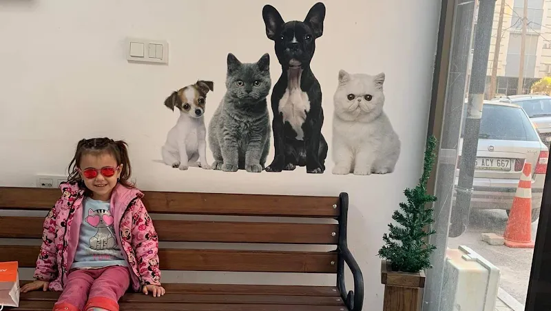 Torbalı Pika Veteriner Kliniği foto 1