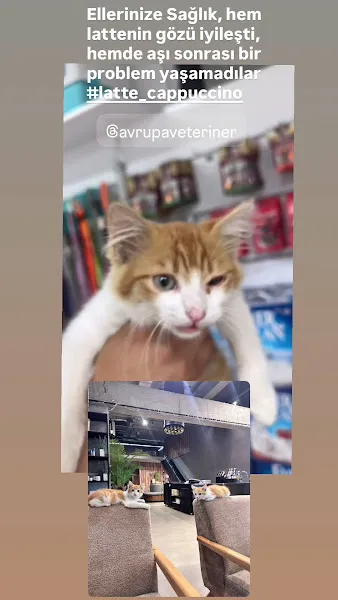 A Vet Avrupa Veteriner Kliniği foto 2