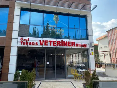 Özel Yakacık Veteriner Kliniği