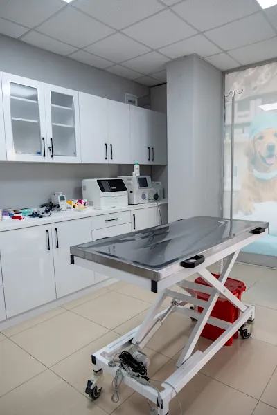 Kuzgun Veteriner Kliniği foto 2