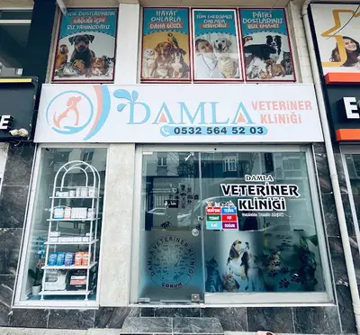 Damla Veteriner Kliniği
