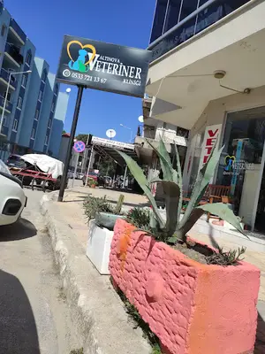 Altınova Veteriner Kliniği