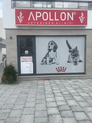 APOLLON VETERİNER KLİNİĞİ BODRUM