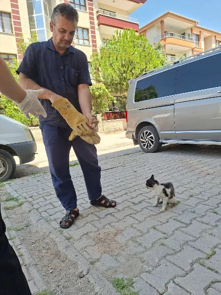 Başaran Veteriner Kliniği foto 2