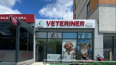 NORAVET( Bağcılar) Veteriner Muayenehanesi
