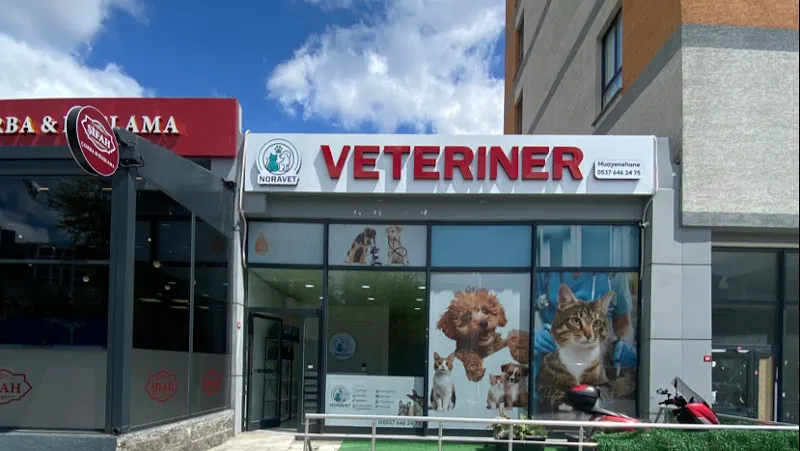 NORAVET( Bağcılar) Veteriner Muayenehanesi foto 1