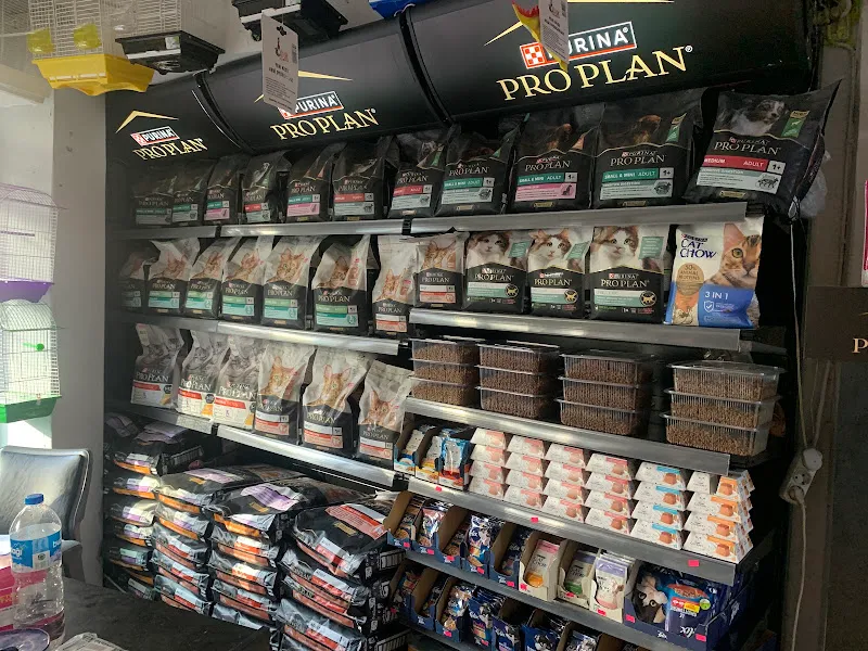 Anil Akvaryum Petshop foto 2