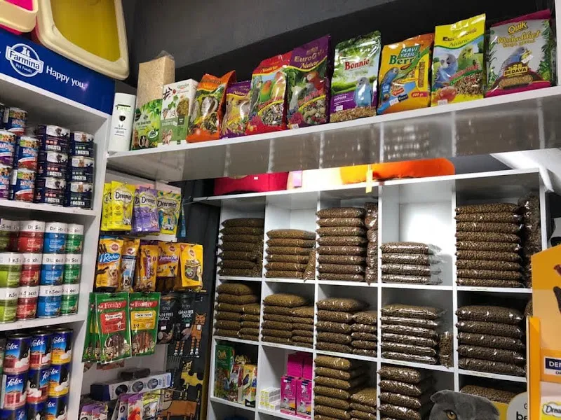Erka Pet Shop Maltepe foto 2