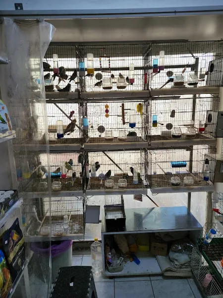 Şeli&Meli Petshop foto 2