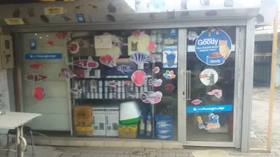 Yağmur Akvaryum ve Kuş Evi