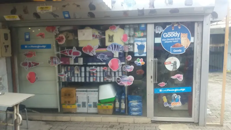 Yağmur Akvaryum ve Kuş Evi foto 1