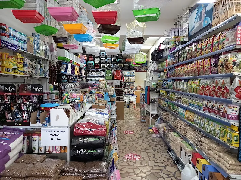 Güler Petshop foto 2