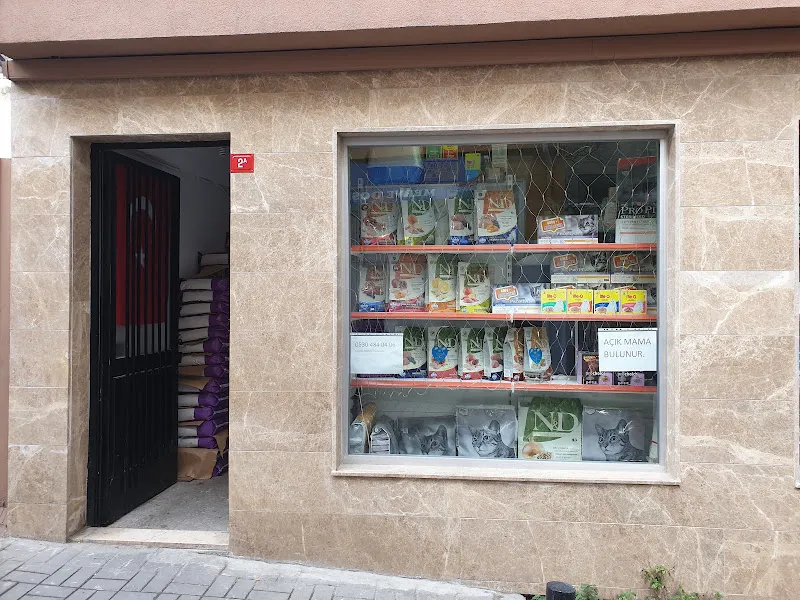 fish and pets petshop foto 2