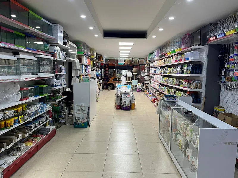 DEMİRKAYA PETSHOP (Postabaşı Akvaryum) foto 2