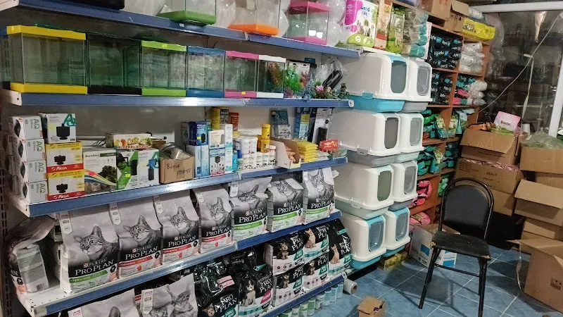Doruk petshop foto 2