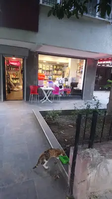 Furry Friends Petshop