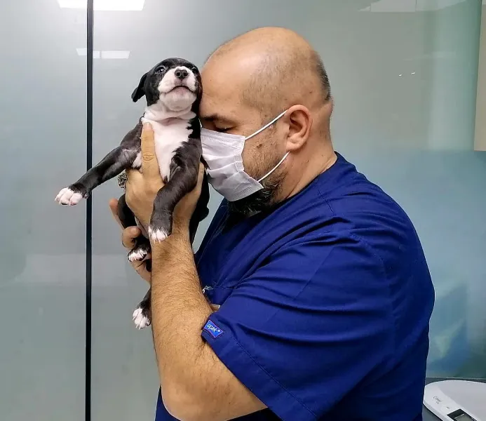 Ataşehir Evcil Dostum Veteriner Kliniği - 7/24 Acil Veteriner foto 2