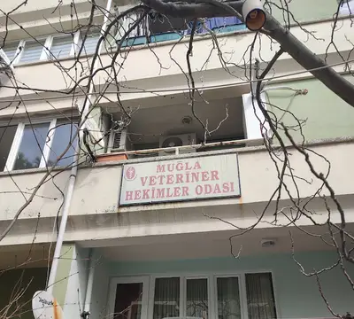 Muğla Veteriner Hekimler Odası