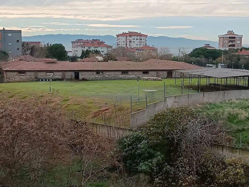 Pendik Veteriner Kontrol Enstitüsü foto 1