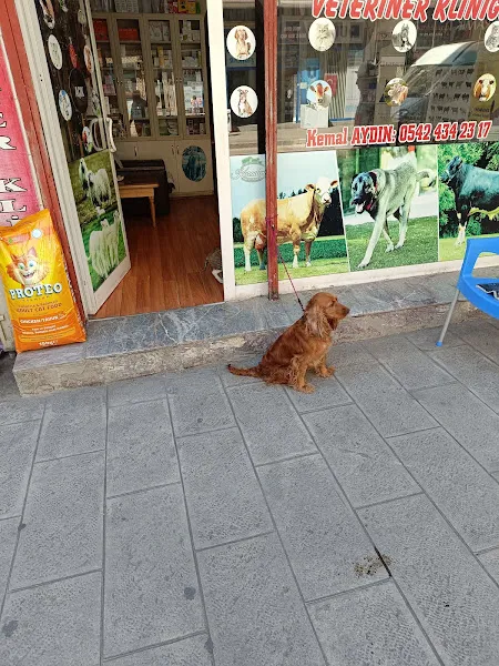 Karadeniz Veteriner Kliniği foto 2