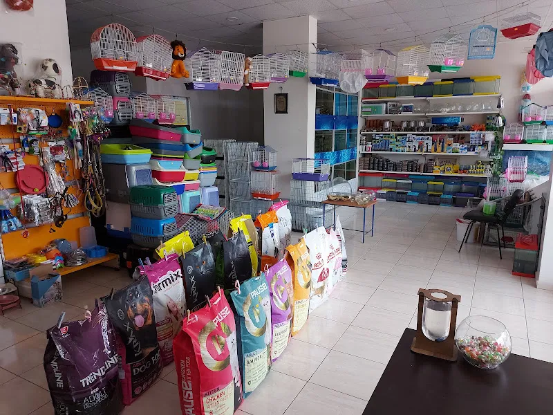 Teyna petshop foto 2
