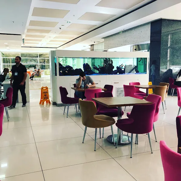 Marmara Akvaryum Sistemlerİ foto 1