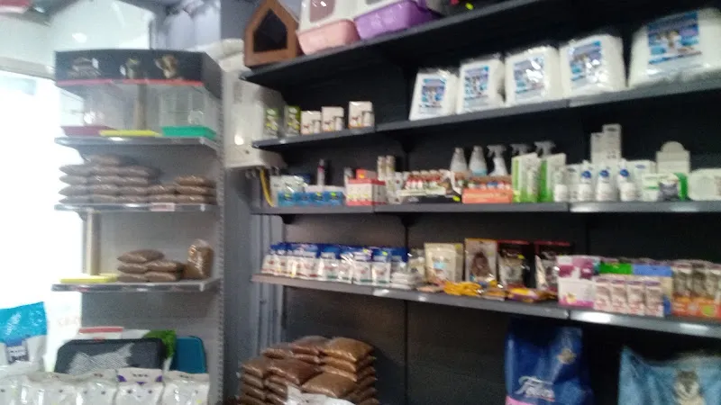 Tüylü Petshop foto 2