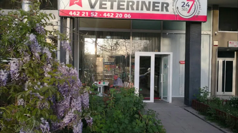 Yıldız Veteriner Kliniği foto 1