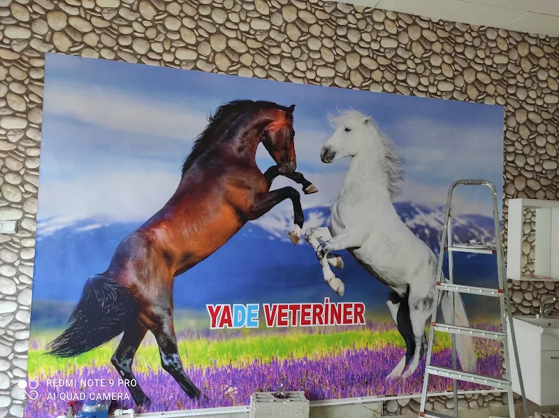 paşa veteriner kliniği foto 1