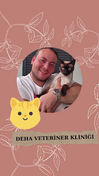 DEHA Veteriner Kliniği foto 2