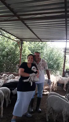 Alli Veterinerlik fotoğrafı
