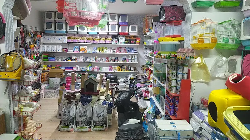Balatçık petshop foto 2