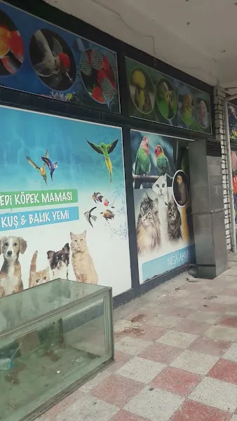 NİSA AKVARYUM foto 1