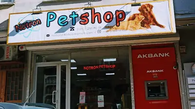 NÖTRON PETSHOP