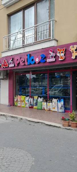PETLOVE 19 MAYIS ŞUBE foto 1