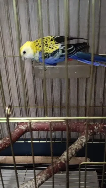 Atlantis Petshop foto 1