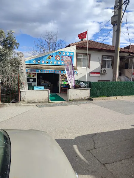 Şirinköy Petshop foto 1