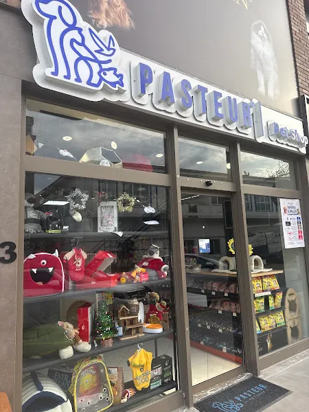 Pasteur ministrada foto 2