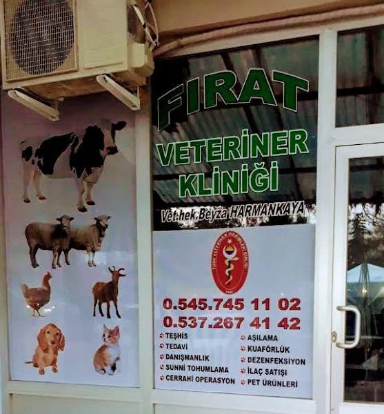 FIRAT VETERİNER KLİNİĞİ foto 2